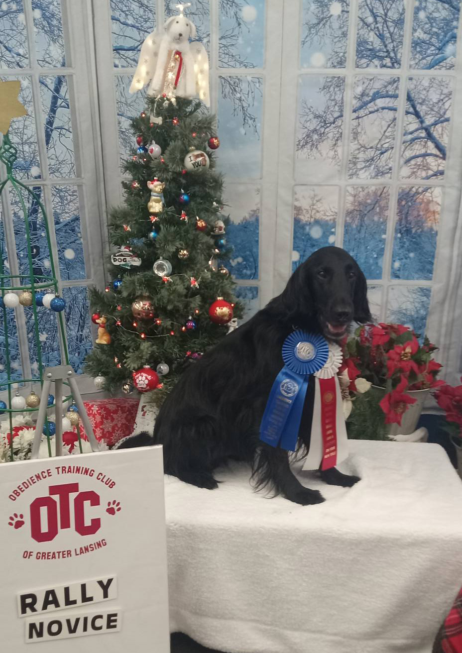 Ticker : Titres BN & RN AKC