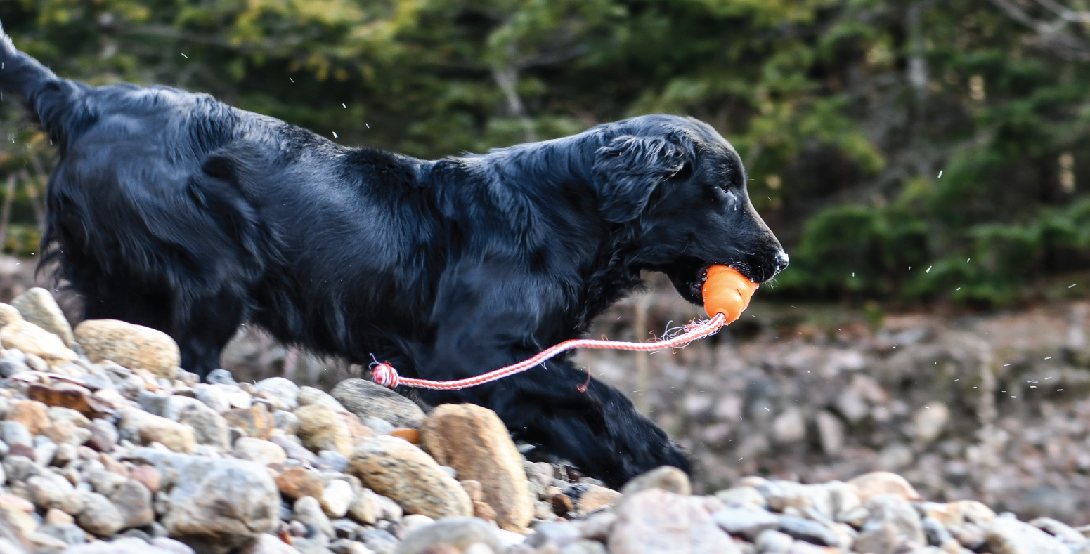 Knightcastle (Macha)