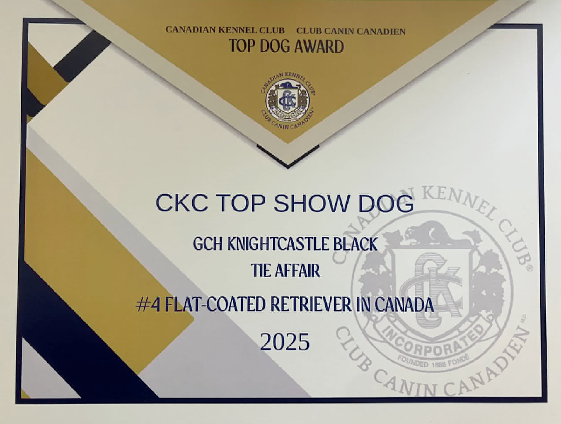 Winston classé quatrième au Canada en 2025